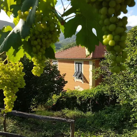B&B Casa Del Priore-2