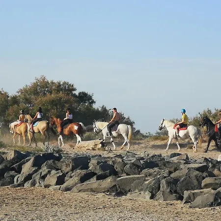 Meublé de tourisme 6/8 pers bord de mer sur camping 4*-3