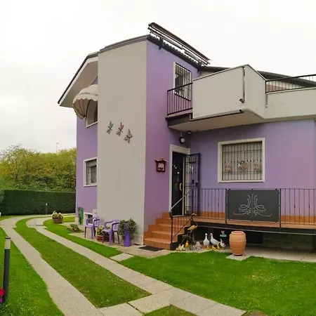 B&B Milu'-2