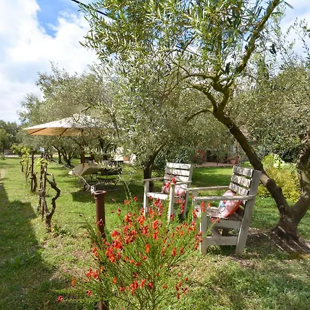 le cabanon de l'olivette-3