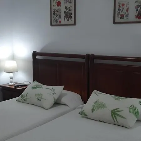 Pensión CASA LEÓN-3