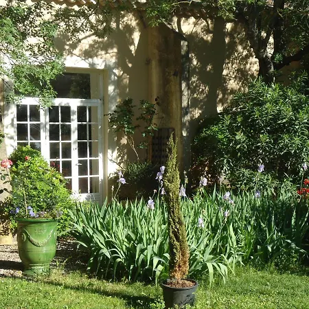 Au Bord De Thau-2