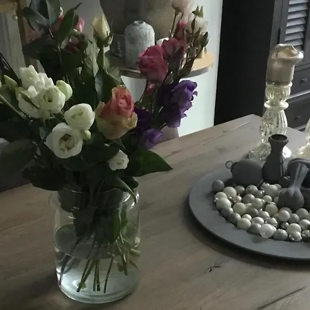 B&B Huize 'T Goylaan-2