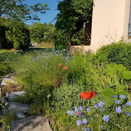 B&B Auberge Verdon-3