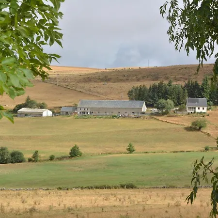 Horizon Aubrac Laguiole-3
