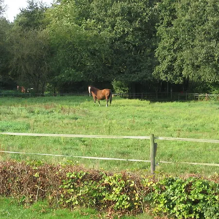 Rustpunt Groote Heide-2