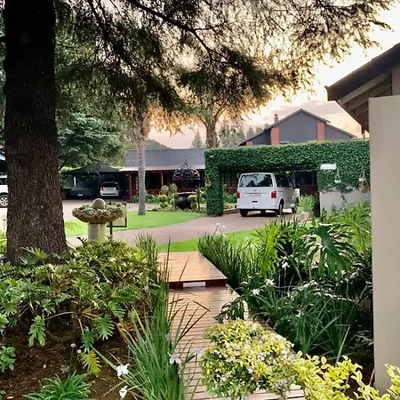 Diamond Rose Guest House-3