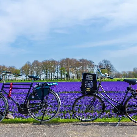 Slapen bij de Buurvrouw-2