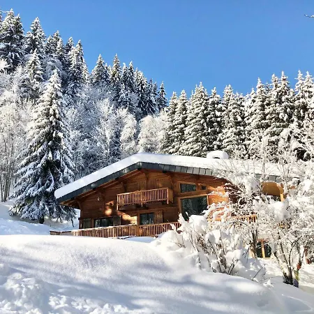 Chambres d'hôtes - B&B - Chalet Mountain Vibes-2