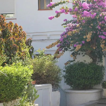 Hotel Patricia-2