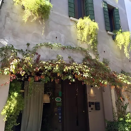Avogari B&B-2