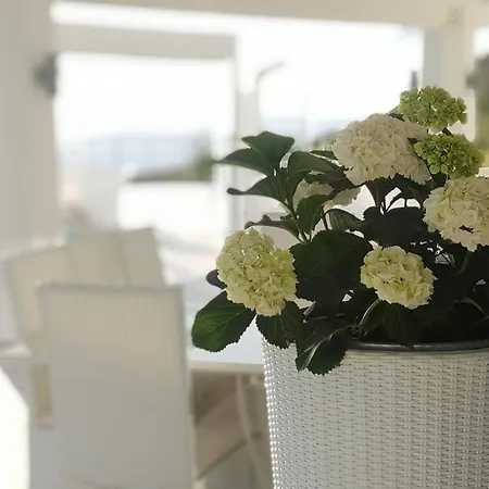 White Club Residence-3