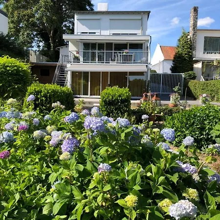 B&B Rose-3