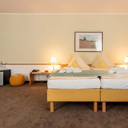Hotel Nibelungen Hof-2