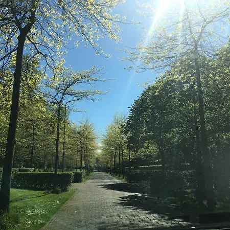 De Zilvermeeuw-2