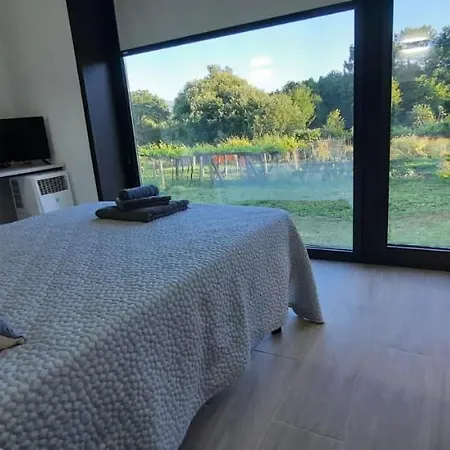 Guest House Clarevar (Pensión *)-2