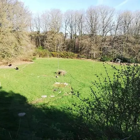 MANOIR DU TERTRE au coeur de la forêt de Brocéliande-2