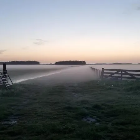 Hunsingo Texel-2