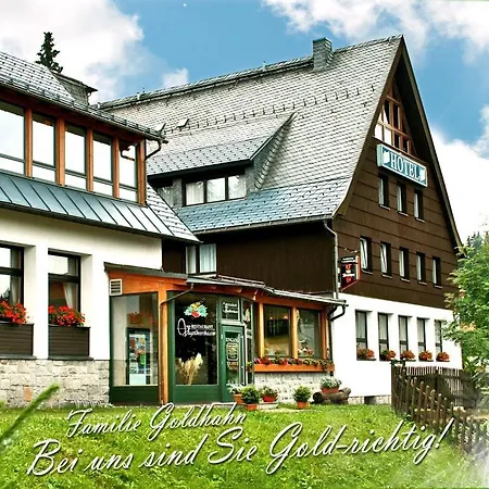 Ferienhotel Mühlleithen-2