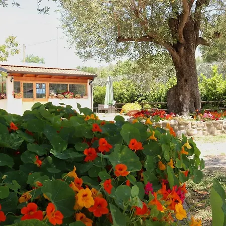 Villa Rosada-2