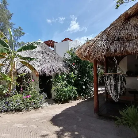 Casa Mech-3