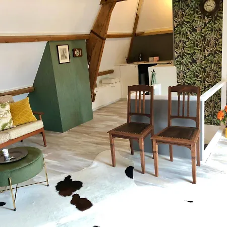 Warme Royale Stadsloft In de Drie Koningen-2