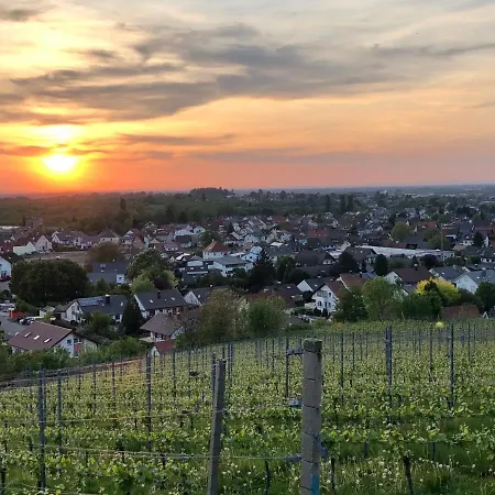 Linde Oberachern-3