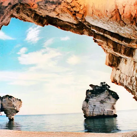 Apulia Bed&Breakfast-3