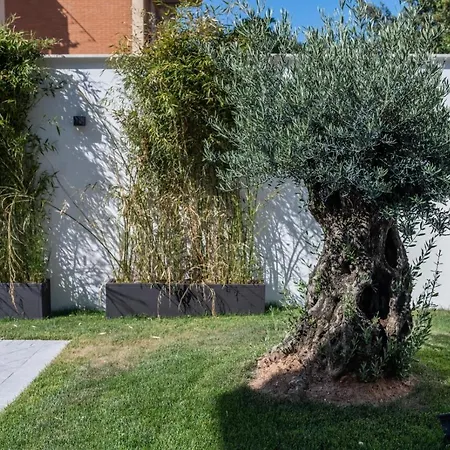 Grey House Guest House Luxury-3