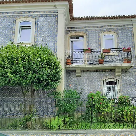 Casa Das Camelias Garden Guesthouse-3