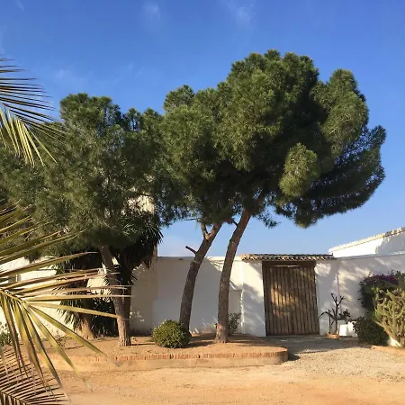 Torre de la Campana-3