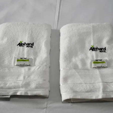 Hotel Alphard-3