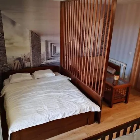 Studio Jolly Kop Jana 2-2
