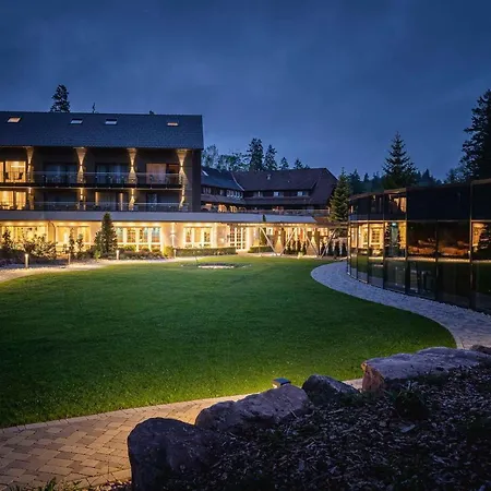 Hotel Restaurant Waldsägmühle-3