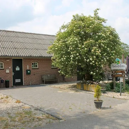 Horsetellerie Rheezerveen-2