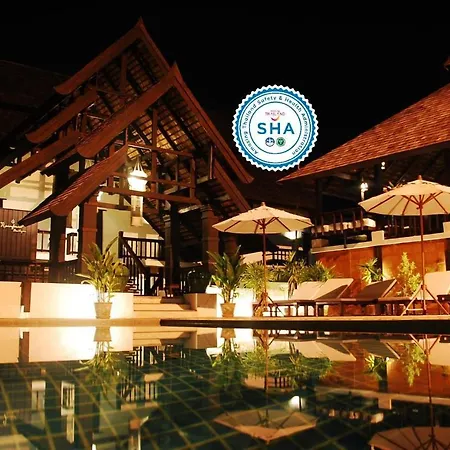 Rainforest Chiangmai Hotel-3