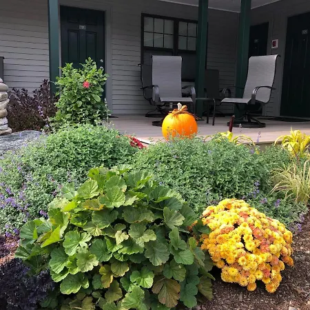 Island Place-3