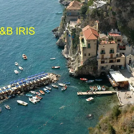 B&B Iris-3