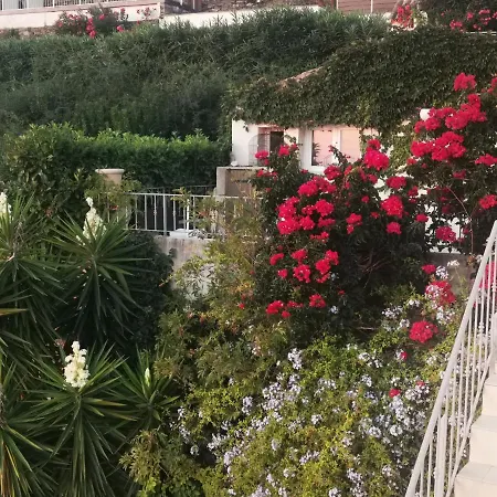 Villa Patrizia-3