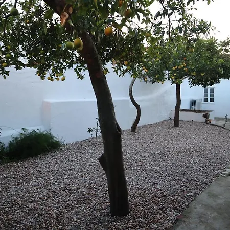 Casa Do Tio Ze-3