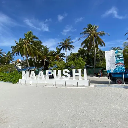 Pelican Beach Maafushi-2