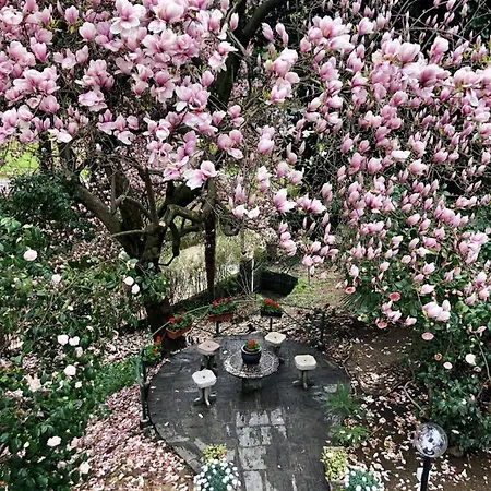 Villa Monica-2