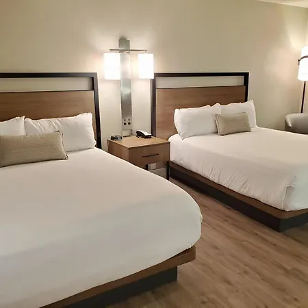 Wyndham Garden San Diego Near Seaworld-3