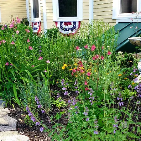 Elmere House Bed & Breakfast-3