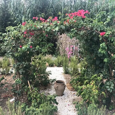 Molino Cottage-2