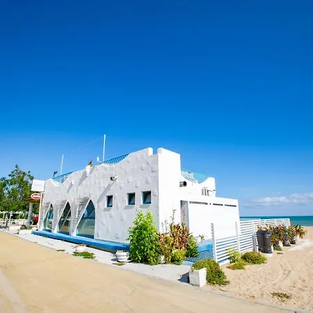 B&B Dream-3