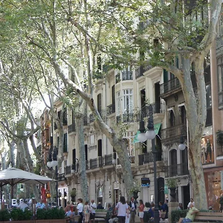 Rambla Palma Center-2