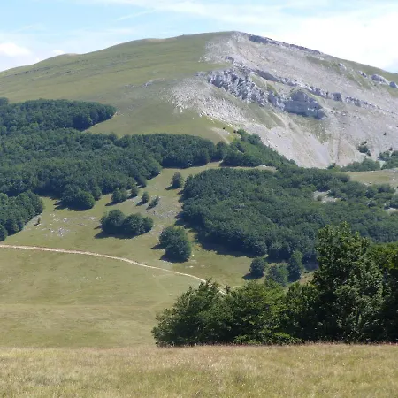 Domaine Du Murier-2