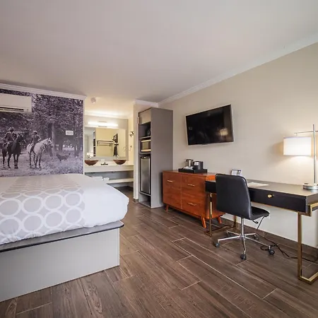 Equus Inn I75-3