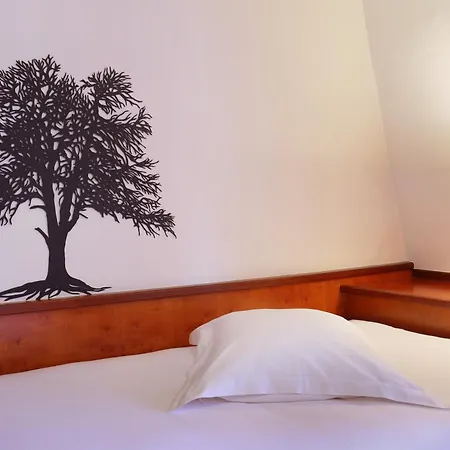 Hotel Suisse-3